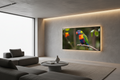 LG C4 OLED TV